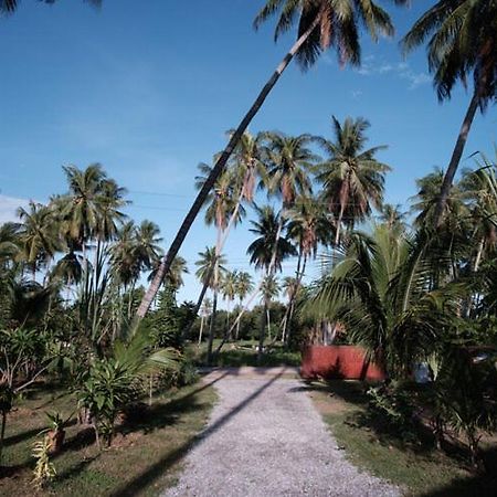 Coconut Tree Homestay Ban Wa Thon Dış mekan fotoğraf