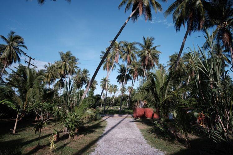 Coconut Tree Homestay Ban Wa Thon Dış mekan fotoğraf